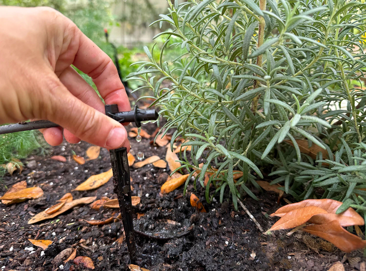 How To Install a Drip Irrigation System[/gpt3]